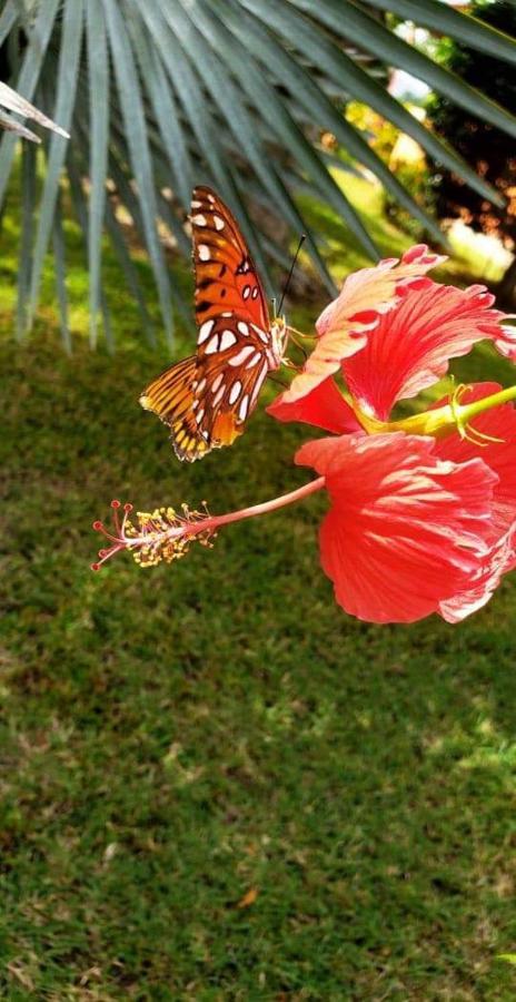 Villas Guanacaste Potrero  Εξωτερικό φωτογραφία