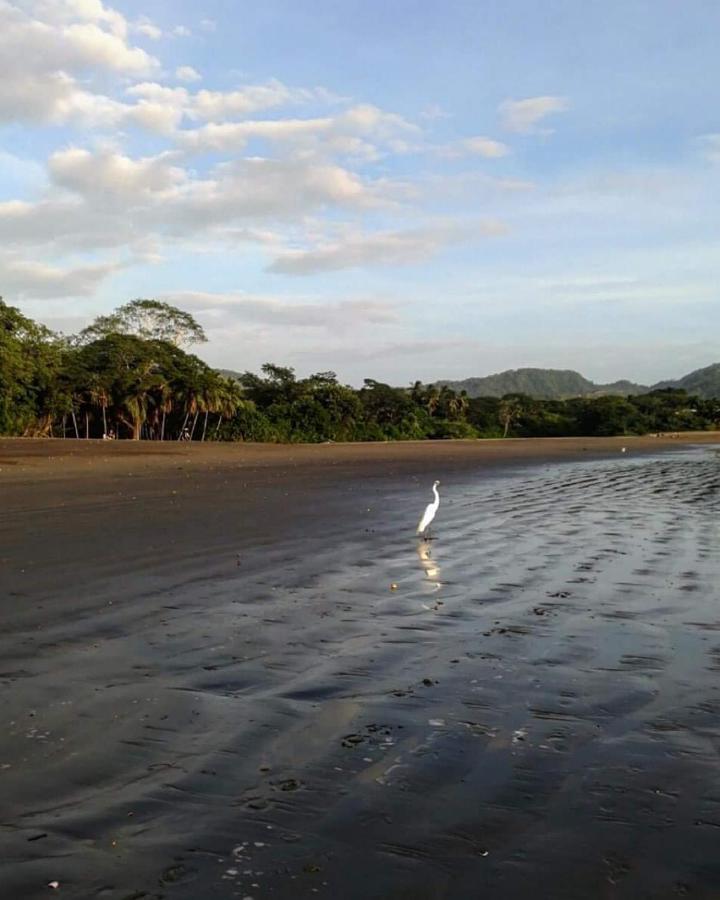 Villas Guanacaste Potrero  Εξωτερικό φωτογραφία